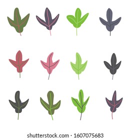Vector of multi-color shades of leaves on a white background