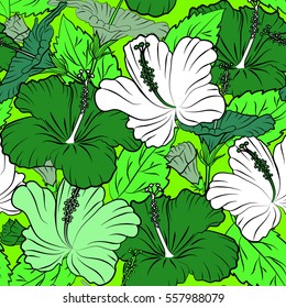 Vector multicolored hibiscus pattern a green background. Seamless tropical flowers, leaves and buds.