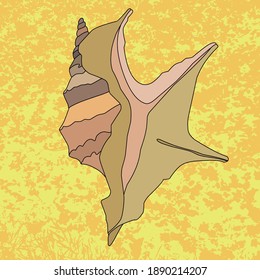 imagen vectorial multicolor de una concha marina espiral