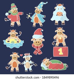 Vector multi-colored set with a new year's symbol-a cute cartoon bull on a dark blue background