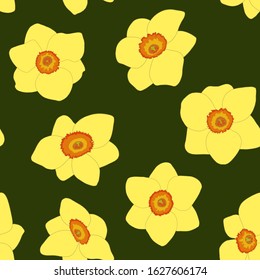 Vector multicolour  floral seamless pattern narcissus. Coloured daffodils on a green background. For print cup, textile, wallpaper, banner, fabric, web, scrapbook, cover of notebook
