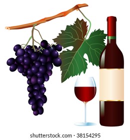 vector muscat grape and wine with blank label