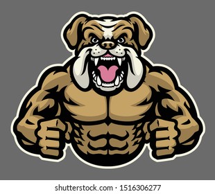 vector of muscle fighter angry bulldog mascot
