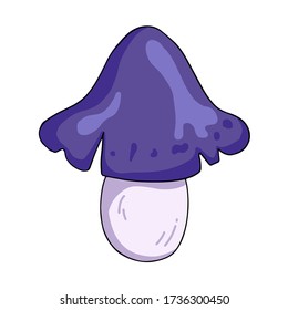 Vector mushroom collection. Cartoon style template for design. Bright and colorful