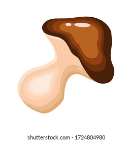 Vector mushroom vector colorful icon, cartoon flat style. Creative food illustration design, graphic idea for infographics.