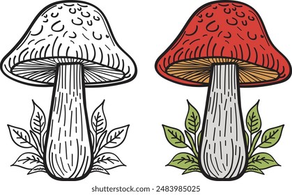 Vector Mushroom Coloring Pages -For Kids