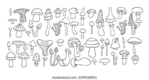 Vector mushroom doodle set, line art fantasy outline forest fungi collection, organic autumn sketch