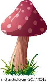 Vector mushroom fly agaric isolated on a white background