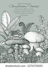 Vector mushroom forest frame. Fly agaric, honey agaric, porcini mushroom surrounded by plants