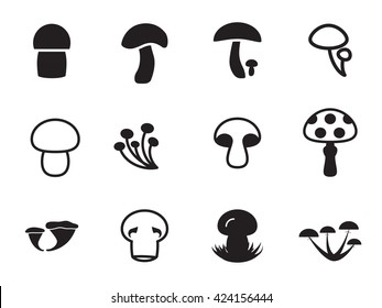 Vector mushroom icon collection. Toadstool, mushrooms, russula, cep, honey agaric symbols isolated on white