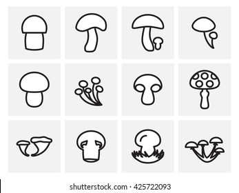 Vector mushroom icon, logo, template, pictogram. Modern emblem for eco shop, market, restaurant, internet, design. Trendy thin line style fungus symbol