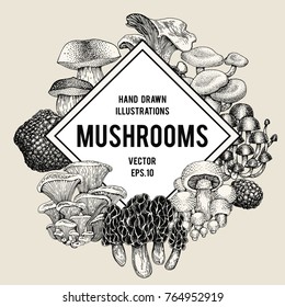 Vector mushroom illustrations. Hand drawn set of different fungus kinds. Vector banner or logo template. Retro illustration.