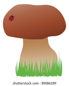 vector mushroom with ladybug