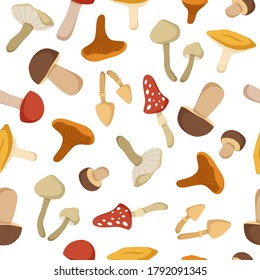 Vector mushroom pattern, forest wildlife illustrations, chanterelle, flywheel, boletus, toadstool, fungus. Seamless modern pattern. Autumn textile pattern