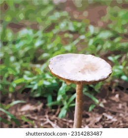 Vector of A mushroom that exists in the wild, taken with a high angle