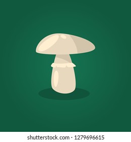 Vector mushrooms. 