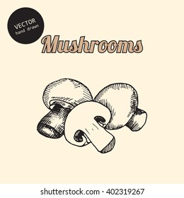 Vector mushrooms. Background consist of mushrooms. Sketch art style.