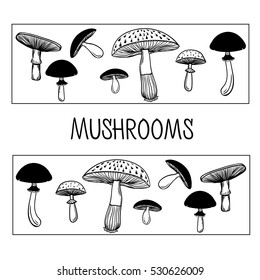 Vector mushrooms. Background consist of mushrooms. Sketch art style.