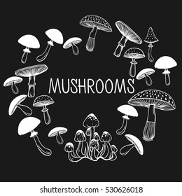 Vector mushrooms. Background consist of mushrooms. Sketch art style.