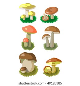 Vector. Mushrooms color set 002