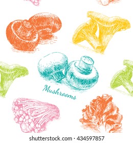 Vector mushrooms colorful background #1. Illustrative sorts of mushrooms in seamless background