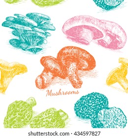 Vector mushrooms colorful background #2. Illustrative sorts of mushrooms in seamless background