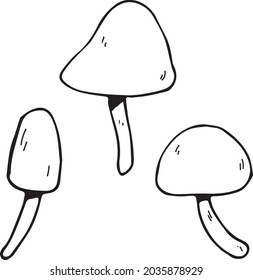 Vector mushrooms elements of autumn decor vector design mushrooms vintage graphics autumn forest mushrooms botanical illustrations