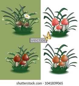 Vector. Mushrooms in the forest or field, decoration for garden, mushrooms in the grass, edible and poisonous toadstool . Illustrations in 3D.