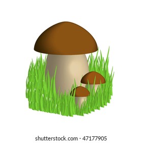 Vector.The mushrooms and grass on a white background