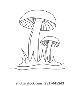 Vector mushrooms illustration in doodle style. Hand drawing honey mushroom on grass in linear style isolated on white background. Minimal style. vector illustration