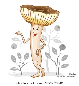 Hongos vectoriales aislados en blanco. Diseño divertido de personajes al estilo de las caricaturas. Campeón de hongos comestibles. Imprimir ropa para niños