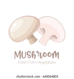 Vector mushrooms isolated on white background.Vegetable illustration for farm market menu. Healthy food design poster. Cartoon style vector