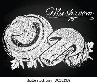 Vector mushrooms on the chalkboard background