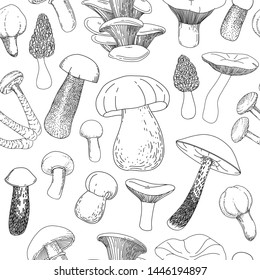 Vector mushrooms seamless pattern. Hand drawn food drawings. Edible mushrooms outlines background. Organic vegetarian product. Perfect for recipe, menu, label, icon, packaging, Line art.