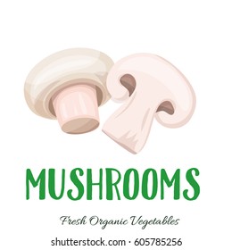 Vector mushrooms . Vegetable illustration for farm market menu. Healthy food design