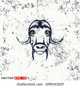 Vector musk ox head, hipster face on grunge background