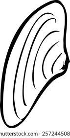 Vector mussel icon, seashell in black color