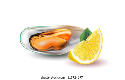 Vector Mussel isolated with lemons and green leaf on white backround  Vector illustration.