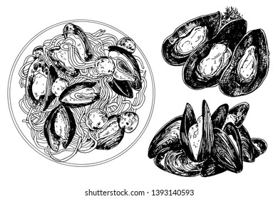 Vector mussel set hand drawn illustration on white