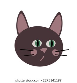 Vector muzzle of funny cat. A head of domestic animal isolated on a white background. Cute cartoon pet.