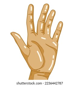 vector of my hand that looks so clean and shiny.