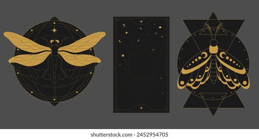 Vector mystic celestial set a with golden outline insects, moth, dragonfly, stars, crescents and moon phases. Black occult shiny linear labels with a magical frame stylized as engraving