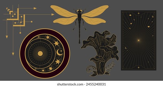 Vector mystic celestial set a with golden outline mushrooms, fly agaric, penny bun, crescents and moon phases. Black occult shiny linear labels with a magical frame stylized as engraving