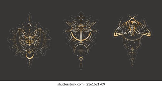 Vector mystic celestial sticker set a with golden outline insects, stars, crescents and moon phases. Black occult shiny linear labels with a magical dragonfly and butterflies stylized as engraving