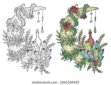 Vector Mystic illustration with occult, esoteric and gothic symbol of moon, crystals and herbs isolated on white, black and white and colorful set of mysterious emblem and Halloween concept