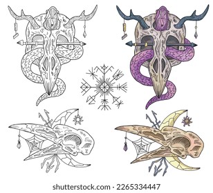 Vector Mystic illustration with occult, esoteric and gothic symbol of skull and snake isolated on white, black and white and colorful set of mysterious emblem and Halloween concept