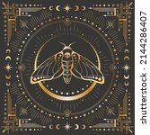 Vector mystic outline butterfly with a skull. Celestial square backgound with a golden insect and frame with stars, moon phases, crescents, arrows. Ornate shiny magical linear moth 