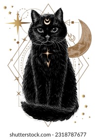 Vector mystical illustration black cat the background the moon  stars   ornaments