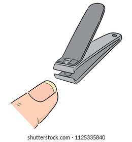 vector of nail clipper