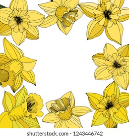 Vector Narcissus. Floral botanical flower. Yellow engraved ink art. Frame floral ornament square on white background.
